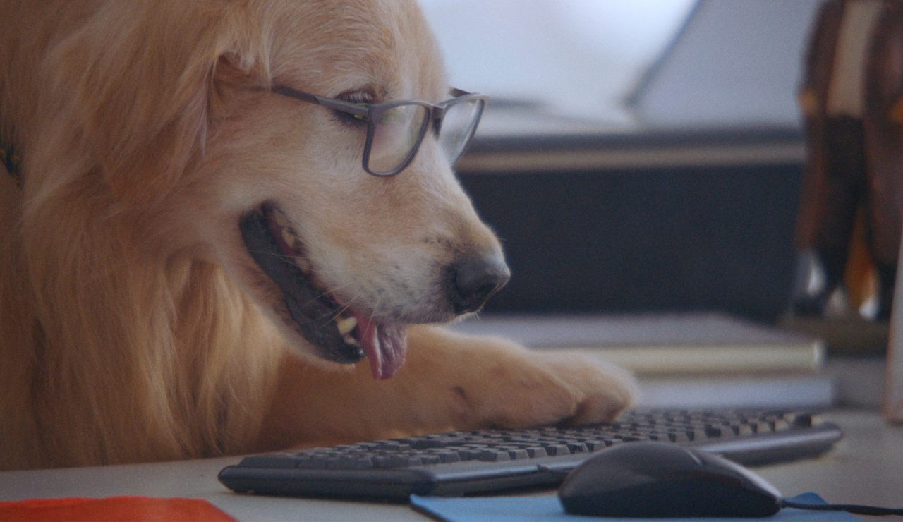 Gerencianet, boletos